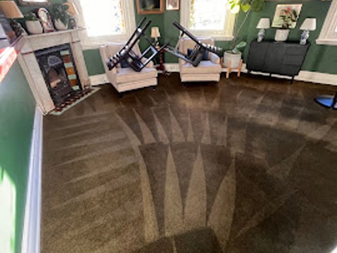 we-love-carpets-wlc-premium-carpet-cleaning-business-sydney-4