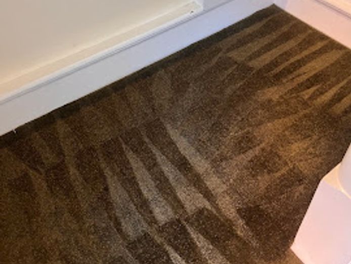 we-love-carpets-wlc-premium-carpet-cleaning-business-sydney-5
