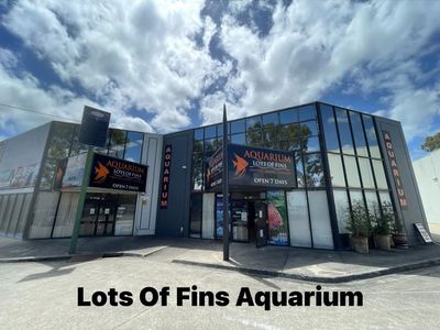 aquarium-retail-shop-0