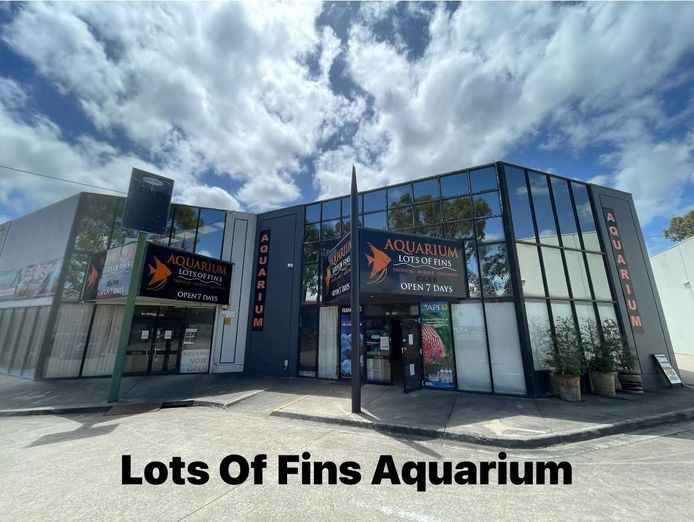 aquarium-retail-shop-0