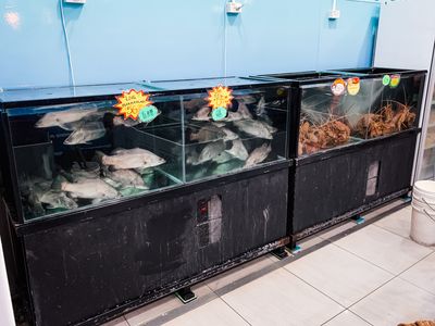 aquaculture-service-business-for-sale-7k-month-20hrs-week-200k-assets-1