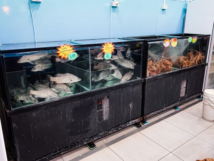 aquaculture-service-business-for-sale-7k-month-20hrs-week-200k-assets-1