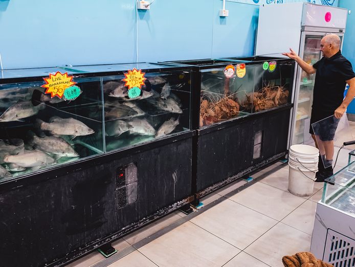 aquaculture-service-business-for-sale-7k-month-20hrs-week-200k-assets-0