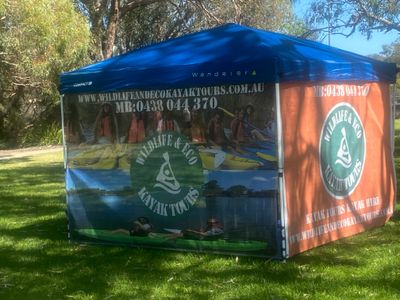 kayak-hire-tours-3