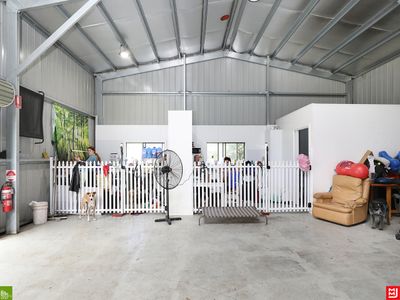 canineology-centre-established-doggy-day-care-dog-grooming-amp-pet-transport-bu-7