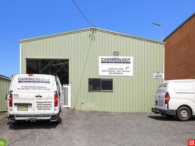 canineology-centre-established-doggy-day-care-dog-grooming-amp-pet-transport-bu-5