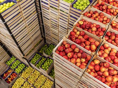 premium-fresh-produce-wholesale-amp-retail-two-distinct-businesses-for-sale-3