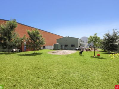 canineology-centre-established-doggy-day-care-dog-grooming-amp-pet-transport-bu-9