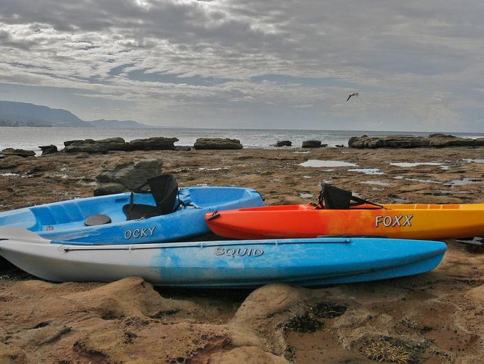 australis-canoes-expressions-of-interest-by-23rd-of-november-2025-1