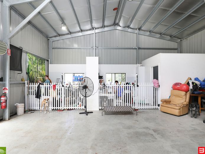 canineology-centre-established-doggy-day-care-dog-grooming-amp-pet-transport-bu-7