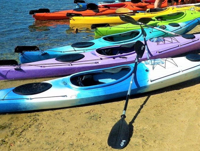 australis-canoes-expressions-of-interest-by-23rd-of-november-2025-0