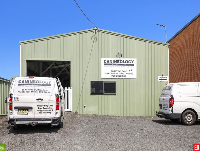 canineology-centre-established-doggy-day-care-dog-grooming-amp-pet-transport-bu-5
