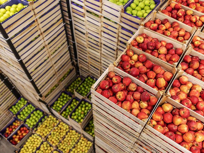 premium-fresh-produce-wholesale-amp-retail-two-distinct-businesses-for-sale-3