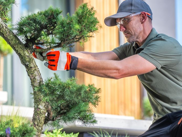 successful-landscape-installation-business-business-for-sale-moss-vale-0