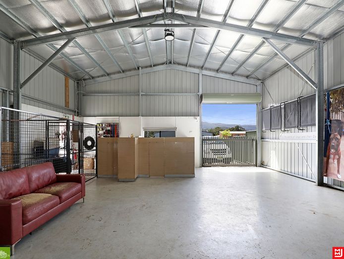 canineology-centre-established-doggy-day-care-dog-grooming-amp-pet-transport-bu-6