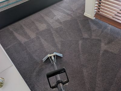 profitable-cleaning-carpet-cleaning-franchise-for-sale-gold-coast-6