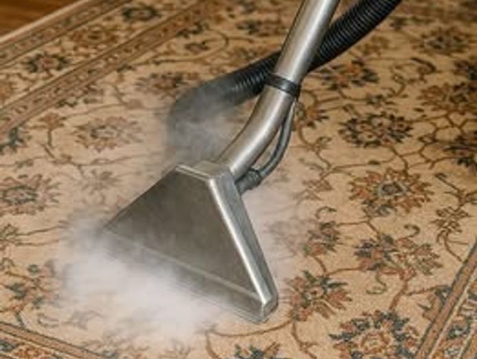 profitable-cleaning-carpet-cleaning-franchise-for-sale-gold-coast-4