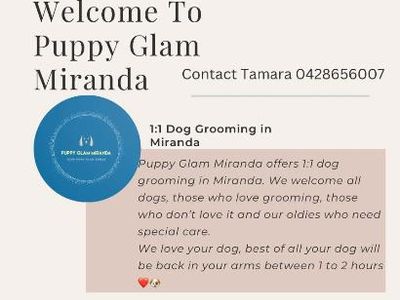 established-dog-grooming-100k-income-94-repeat-clients-1-1-grooming-1