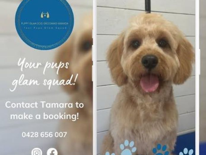 established-dog-grooming-100k-income-94-repeat-clients-1-1-grooming-2