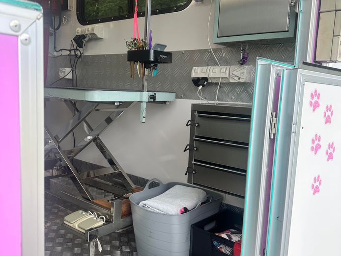 260k-yr-potential-walk-in-walk-out-mobile-dog-grooming-business-cairns-9