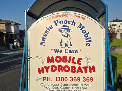 mobile-dog-wash-cranbourne-botanic-ridge-entry-level-opportunity-4-dog-lovers-8