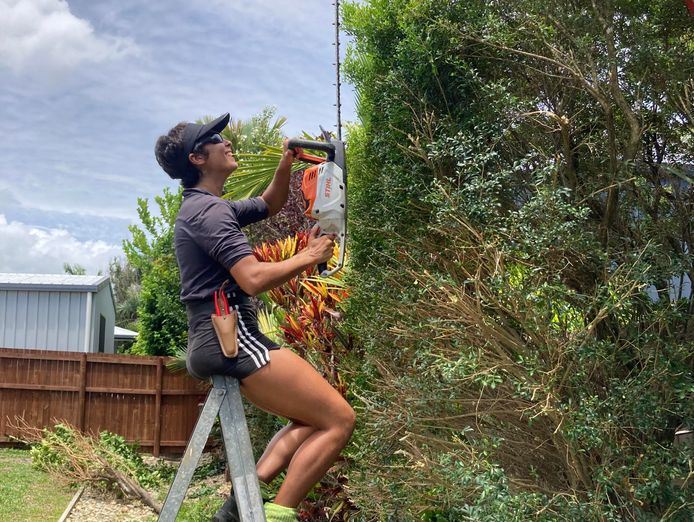 well-known-fnq-eco-gardening-business-0