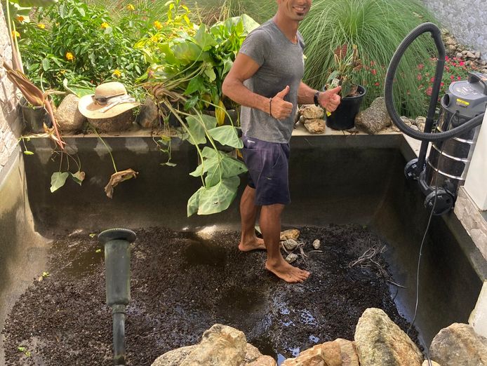 well-known-fnq-eco-gardening-business-3