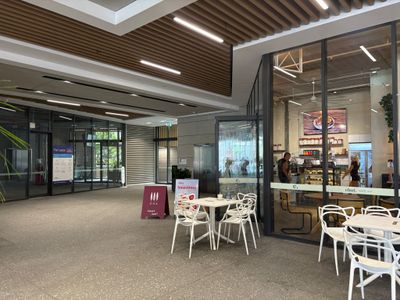 cafe-for-sale-thriving-mermaid-beach-cafe-priced-to-sell-129-000-wiwo-5