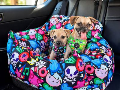 established-pet-accessories-ecommerce-store-0