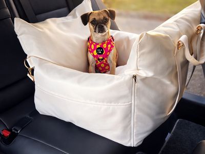 established-pet-accessories-ecommerce-store-8