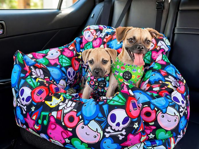 established-pet-accessories-ecommerce-store-0