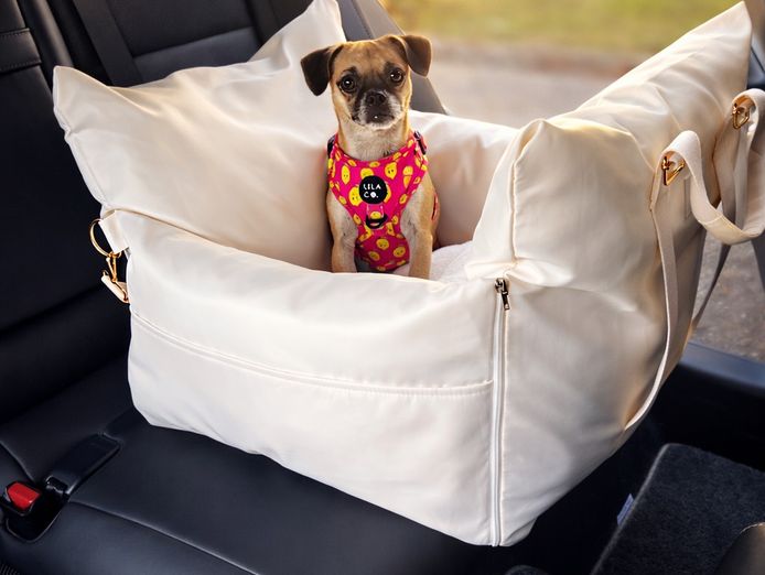 established-pet-accessories-ecommerce-store-8