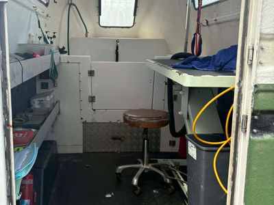 mobile-dog-grooming-division-nsw-south-coast-3