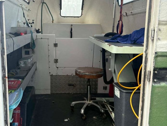 mobile-dog-grooming-division-nsw-south-coast-3