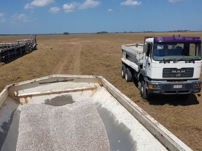established-lime-supply-30-plus-years-spreading-business-sunshine-coast-qld-8