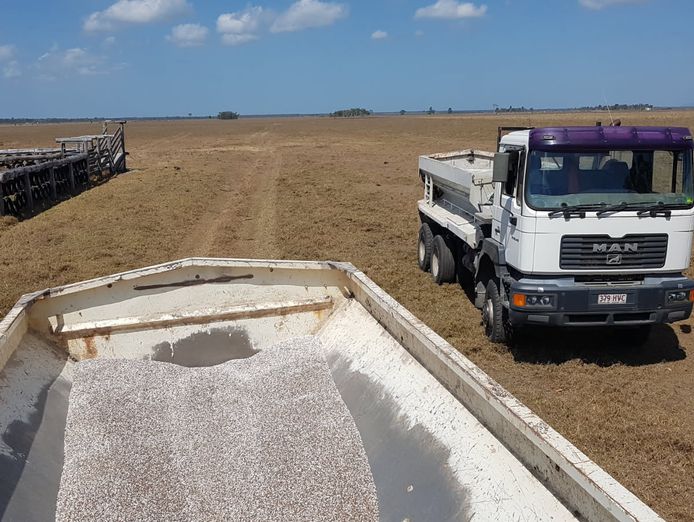 established-lime-supply-30-plus-years-spreading-business-sunshine-coast-qld-8