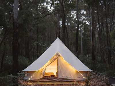 wild-goose-camping-for-sale-at-65-000-mobile-glamping-accommodation-options-1