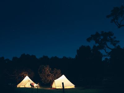 wild-goose-camping-for-sale-at-65-000-mobile-glamping-accommodation-options-8