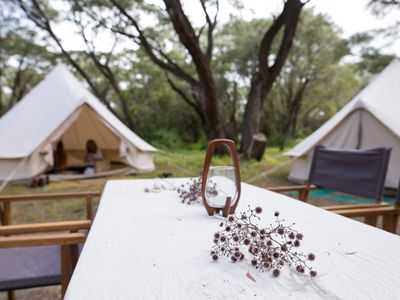 wild-goose-camping-for-sale-at-65-000-mobile-glamping-accommodation-options-2