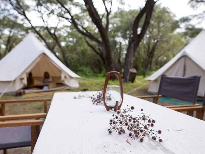 wild-goose-camping-for-sale-at-65-000-mobile-glamping-accommodation-options-2