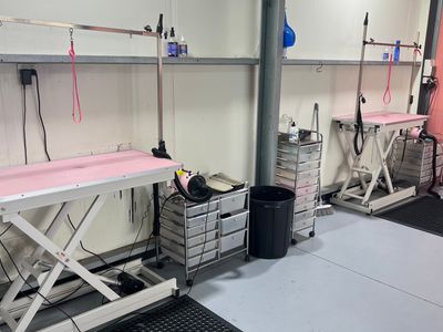dog-grooming-breakwater-3