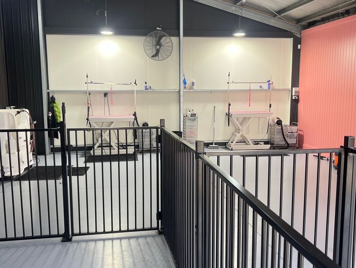 dog-grooming-breakwater-1