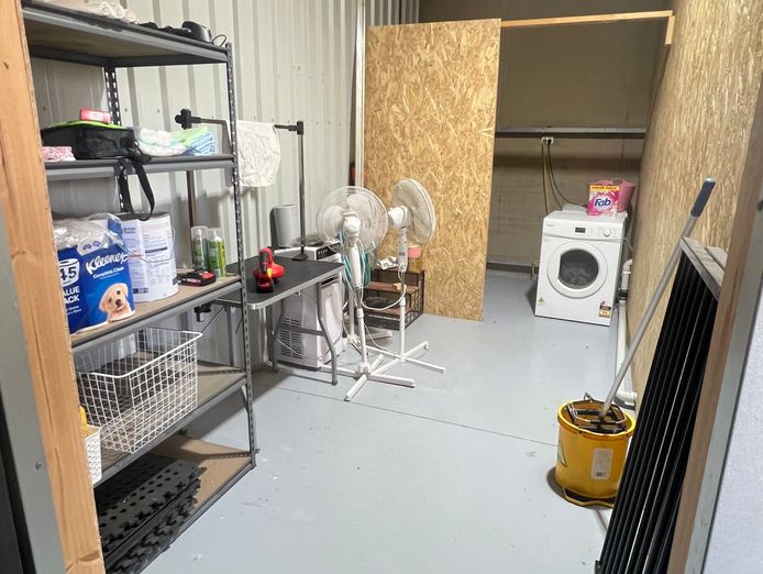 dog-grooming-breakwater-7
