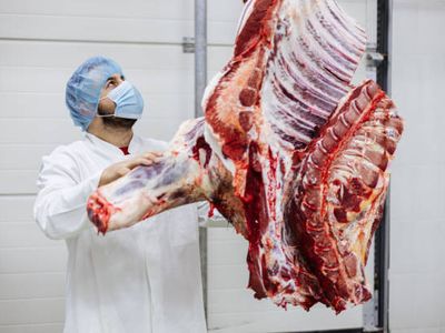 viable-butchery-business-for-sale-offers-above-170k-sav-2