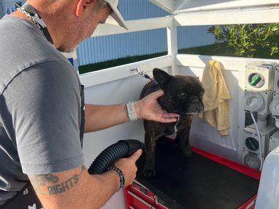 profitable-dog-wash-business-2