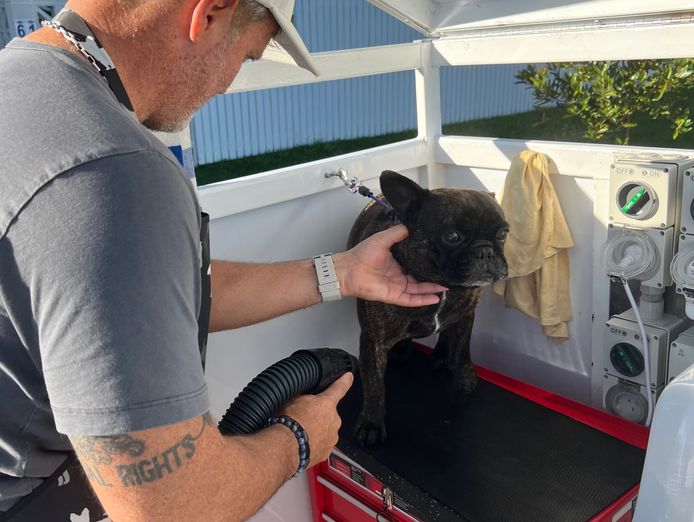 profitable-dog-wash-business-2