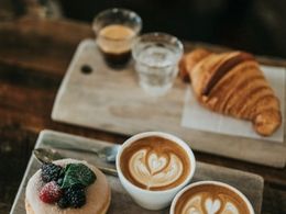 Three-Sites - Café Group Under Management – One Bundle