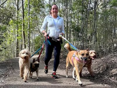 nature-dog-walking-business-for-sale-in-brisbane-van-5-turnkey-5