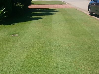 lawnmowing-round-clients-1