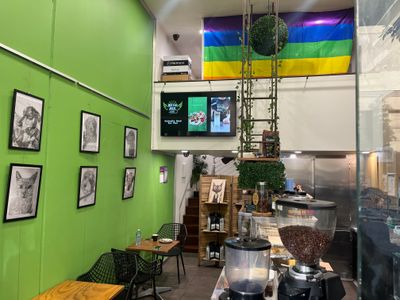 darlinghurst-cafe-8